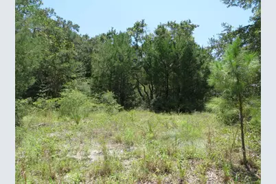 155 Doe Ln, Carrabelle, FL 32322 - Photo 14