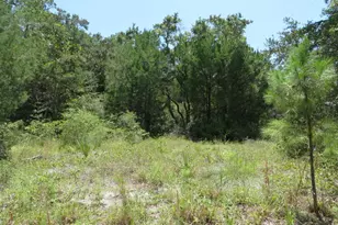155 Doe Ln, Carrabelle, FL 32322 - Photo 14