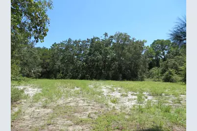 155 Doe Ln, Carrabelle, FL 32322 - Photo 18