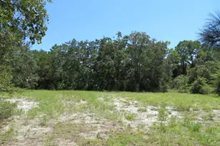 155 Doe Ln, Carrabelle, FL 32322 - Photo 18
