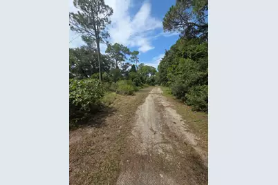 155 Doe Ln, Carrabelle, FL 32322 - Photo 84