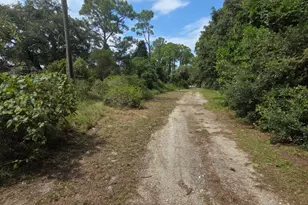 155 Doe Ln, Carrabelle, FL 32322 - Photo 84
