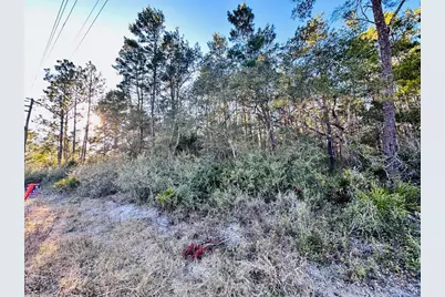 2043 Hwy 98 W, Carrabelle, FL 32322 - Photo 2