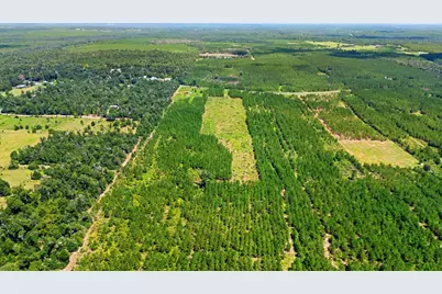 23610 NW Church Rd, Altha, FL 32421 - Photo 12