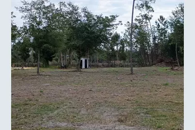 536 N Canal Dr, Port Saint Joe, FL 32456 - Photo 4