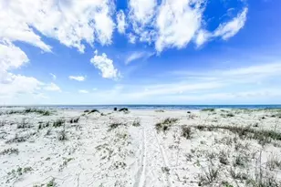 191 Sail Away Dr, Port Saint Joe, FL 32456 - Photo 86