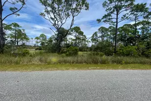 223 Hidden Harbor Dr, Alligator Point, FL 32346 - Photo 1