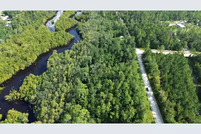 Lot 1 Dead Lakes Dr, Wewahitchka, FL 32465 - Photo 6