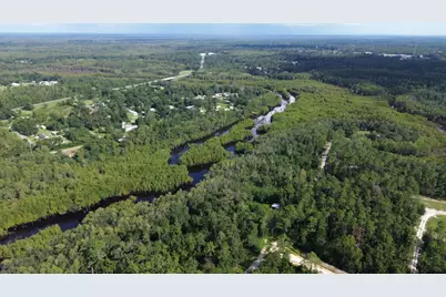 Lot 1 Dead Lakes Dr, Wewahitchka, FL 32465 - Photo 8