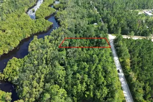 Lot 1 Dead Lakes Dr, Wewahitchka, FL 32465 - Photo 1