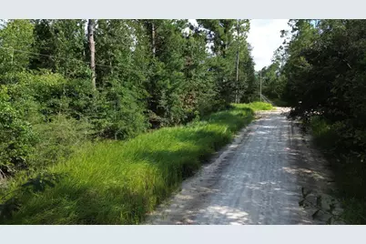Lot 1 Dead Lakes Dr, Wewahitchka, FL 32465 - Photo 2