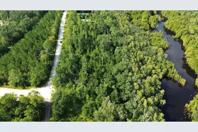 Lot 1 Dead Lakes Dr, Wewahitchka, FL 32465 - Photo 4