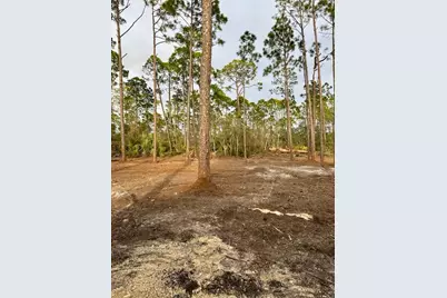 Lot 12 Watermark Way, Port Saint Joe, FL 32456 - Photo 2