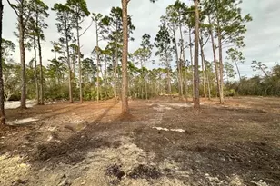 Lot 12 Watermark Way, Port Saint Joe, FL 32456 - Photo 1