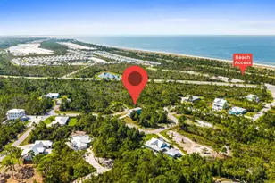 221 Stingray Ln, Port Saint Joe, FL 32456 - Photo 6