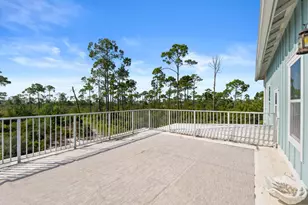 221 Stingray Ln, Port Saint Joe, FL 32456 - Photo 46