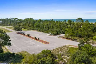 221 Stingray Ln, Port Saint Joe, FL 32456 - Photo 48