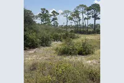 4746 Cape San Blas Rd, Cape San Blas, FL 32456 - Photo 14