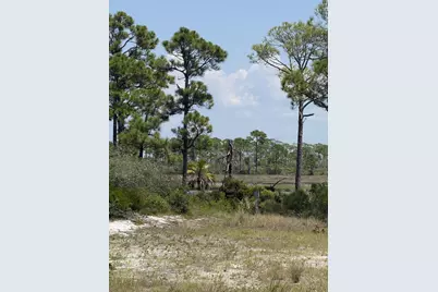 4746 Cape San Blas Rd, Cape San Blas, FL 32456 - Photo 2