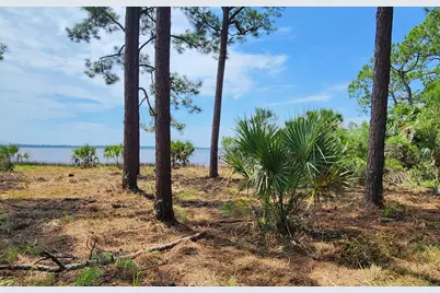 Lot 1 River Cove Rd, Panacea, FL 32346 - Photo 1