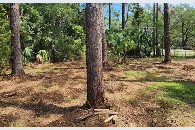 Lot 1 River Cove Rd, Panacea, FL 32346 - Photo 4