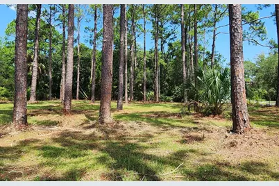 Lot 1 River Cove Rd, Panacea, FL 32346 - Photo 8