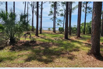 Lot 1 River Cove Rd, Panacea, FL 32346 - Photo 12