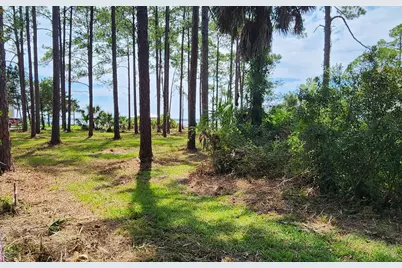 Lot 1 River Cove Rd, Panacea, FL 32346 - Photo 2