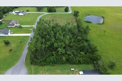 229 Edge Hill Rd, Wewahitchka, FL 32465 - Photo 6