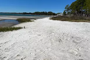 4522 St Teresa Landings Rd, Saint Teresa, FL 32346 - Photo 16