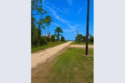 335 Bradford St, Saint George Island, FL 32328 - Photo 4