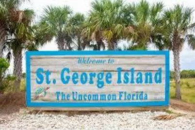 335 Bradford St, Saint George Island, FL 32328 - Photo 6