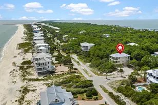 2156 Seahorse Ln, Saint George Island, FL 32328 - Photo 60