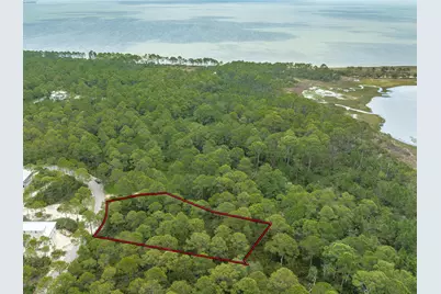 142 Lightning Bug Ln, Saint Teresa, FL 32358 - Photo 4