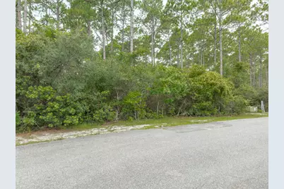 142 Lightning Bug Ln, Saint Teresa, FL 32358 - Photo 2