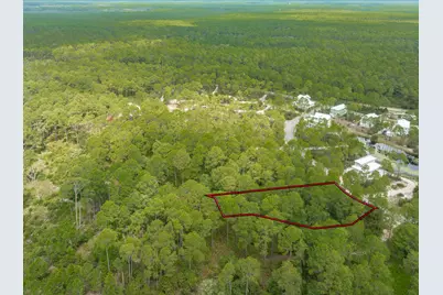 142 Lightning Bug Ln, Saint Teresa, FL 32358 - Photo 6