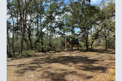 1073 Sr 65, Eastpoint, FL 32328 - Photo 1