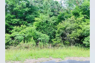 53 Bluewater Bay Cir, Carrabelle, FL 32322 - Photo 2