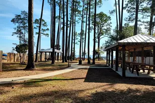 117 Skimmer Ln, Carrabelle, FL 32322 - Photo 52