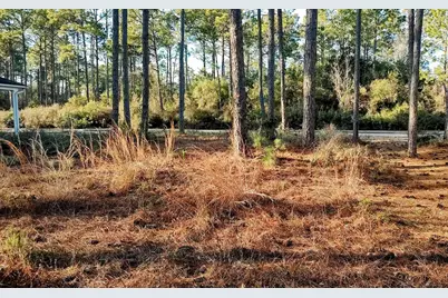 117 Skimmer Ln, Carrabelle, FL 32322 - Photo 56