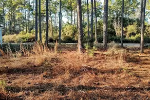 117 Skimmer Ln, Carrabelle, FL 32322 - Photo 56