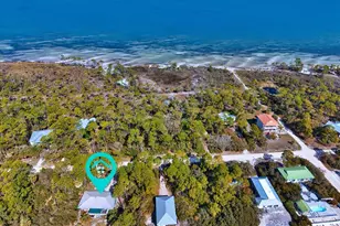 848 E Pine Ave, Saint George Island, FL 32328 - Photo 60