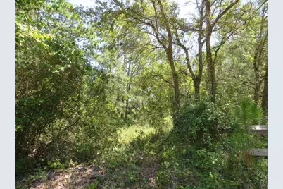 2648-64 Oak St, Carrabelle, FL 32322 - Photo 8