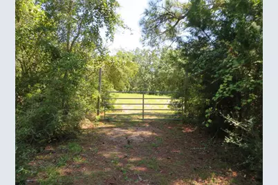 2648-64 Oak St, Carrabelle, FL 32322 - Photo 10