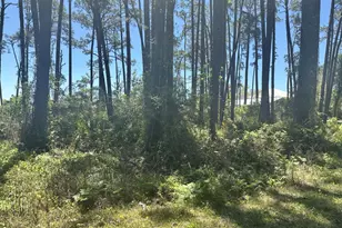 2790 Hwy 98, Carrabelle, FL 32322 - Photo 1