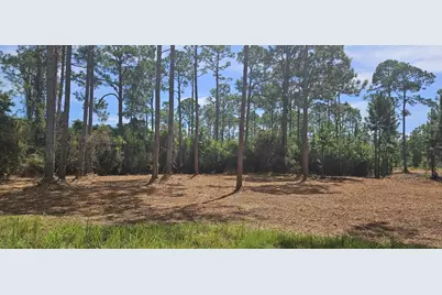 178 Baywood Dr, Carrabelle, FL 32322 - Photo 2