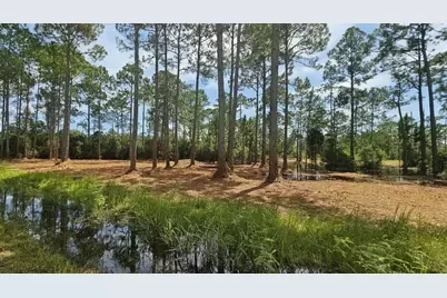 178 Baywood Dr, Carrabelle, FL 32322 - Photo 4