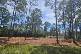 178 Baywood Dr, Carrabelle, FL 32322 - Photo 1