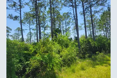 178 Baywood Dr, Carrabelle, FL 32322 - Photo 10