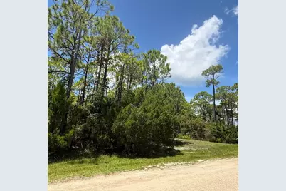 1259 E Gulf Beach Dr, Saint George Island, FL 32328 - Photo 6